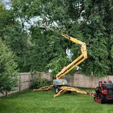 Best Lot and Land Clearing  in Norman, OK