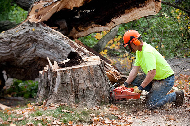 Best Aeration Services  in Norman, OK